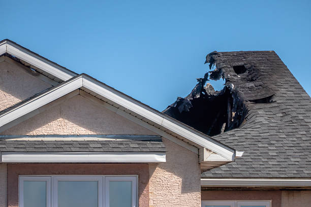 Top rated local Fire Damage Removal specialists in Plano, TX